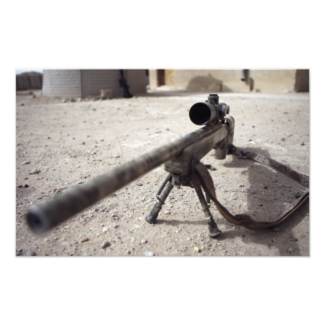 The Schmidt & Bender M-854155 DS Photo Print (Front)