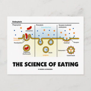 The Science Of Eating (Endocytosis Biology Humour) Postcard