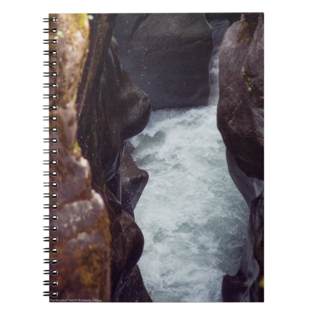 The Sculptor Spiral Notebook (Front)