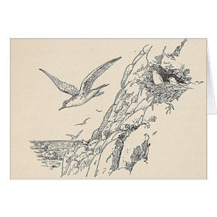 The Sea Gulls