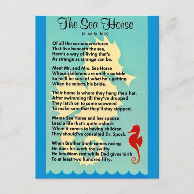 The Sea Horse Postcard (Front)