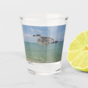 The seagulls shot glass