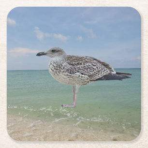 The seagulls square paper coaster