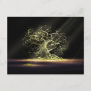 The Secret 4 Postcard