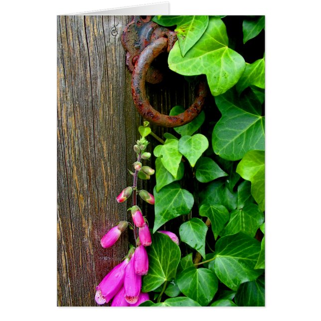 THE SECRET DOOR (Front)