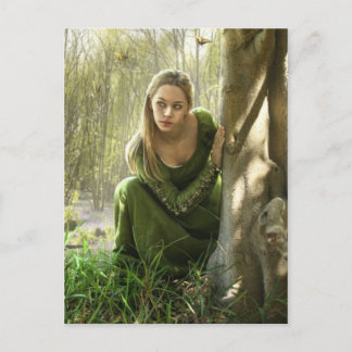 The Secret Forest Postcard