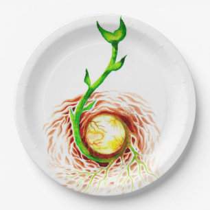 The seed of life poster canvas print postcard magn paper plate