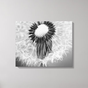 The Seeds of Tomorrow Canvas Print