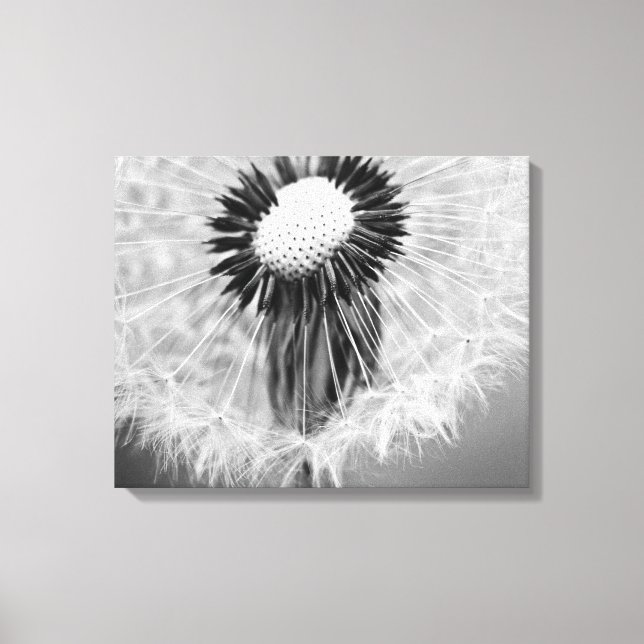 The Seeds of Tomorrow Canvas Print (Front)