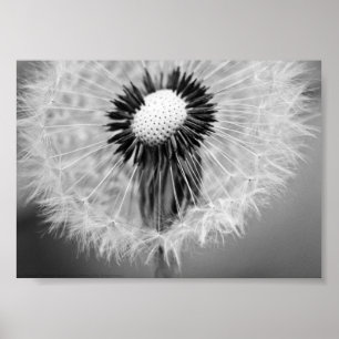 The Seeds of Tomorrow Poster