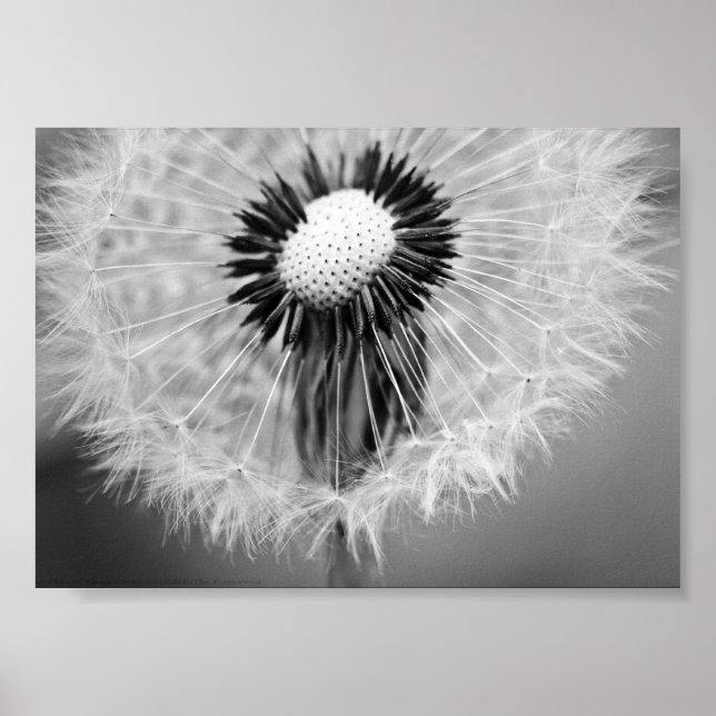 The Seeds of Tomorrow Poster (Front)