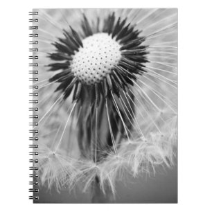 The Seeds of Tomorrow Spiral Notebook