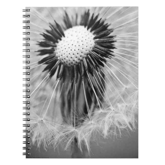 The Seeds of Tomorrow Spiral Notebook (Front)