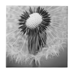 The Seeds of Tomorrow Tile