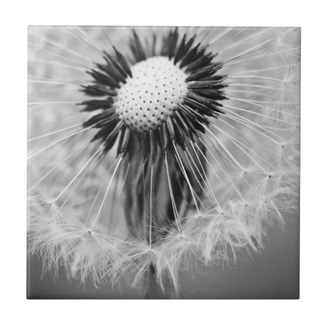 The Seeds of Tomorrow Tile (Front)