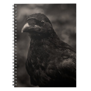 The Seeker Spiral Notebook