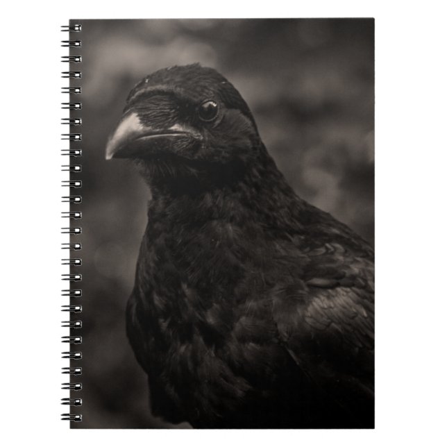 The Seeker Spiral Notebook (Front)