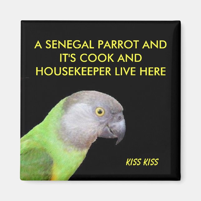 The Senegal Parrot Pet Magnet (Front)