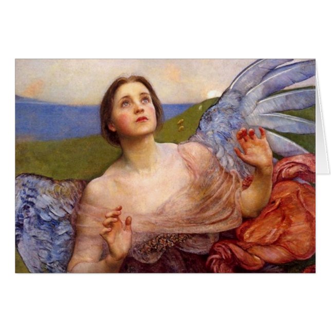 The Sense of Sight (Front Horizontal)