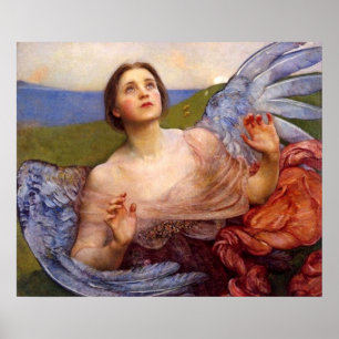 The Sense of Sight Poster