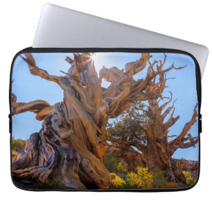 The Sentinel Tree Laptop Sleeve