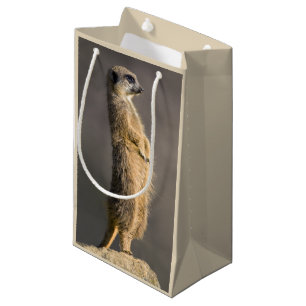 The Sentry Gift Bag