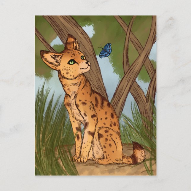 The Serval and the Butterfly Postcard (Front)