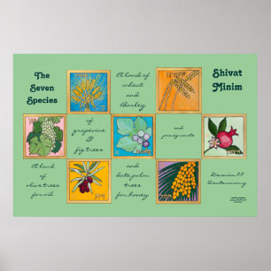 The Seven Species or Shivat Minim Poster