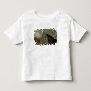 The Seven Wonders of the World Toddler T-Shirt