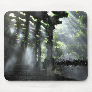 The Shaded Path (Mousepad) Mouse Pad
