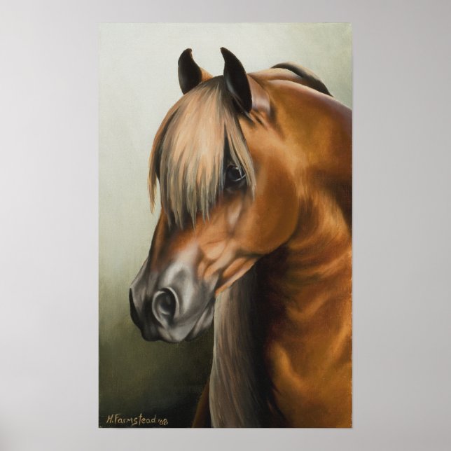 The Sharade Poster (Front)