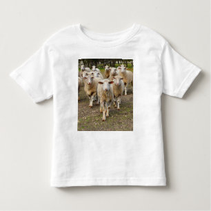 The Sheep Come Marching In Hurrah, Toddler T-Shirt