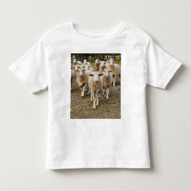 The Sheep Come Marching In Hurrah, Toddler T-Shirt (Front)