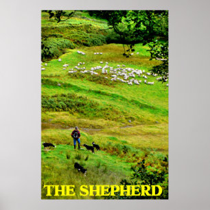 the shepherd poster