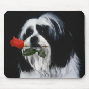 The Shih Tzu Dog Mouse Pad