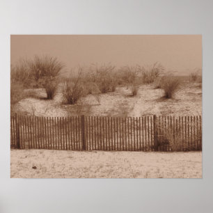 The Shore Poster