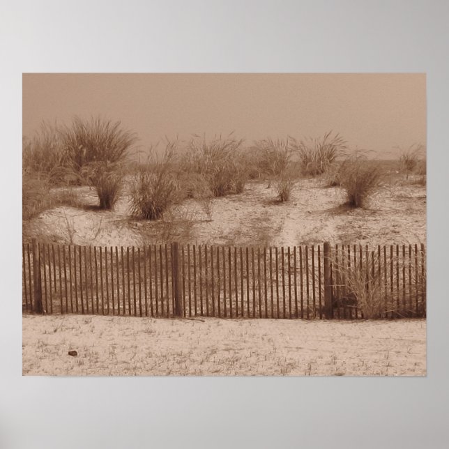 The Shore Poster (Front)