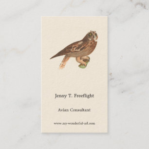 The Short-eared Owl (Otus palustris) New York Bird Business Card