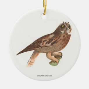 The Short-eared Owl (Otus palustris) New York Bird Ceramic Tree Decoration