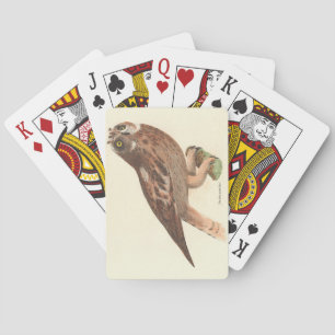 The Short-eared Owl (Otus palustris) New York Bird Playing Cards