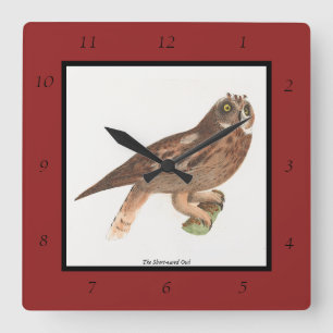 The Short-eared Owl (Otus palustris) New York Bird Square Wall Clock