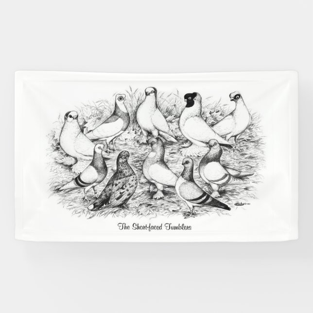 The Short-faced Tumbler Pigeons Banner (Horizontal)