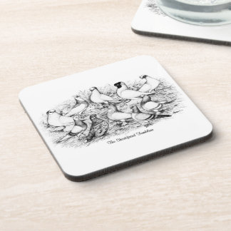 The Short-faced Tumbler Pigeons Coaster