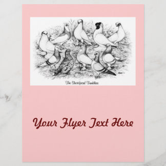 The Short-faced Tumbler Pigeons Flyer