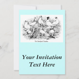 The Short-faced Tumbler Pigeons Invitation