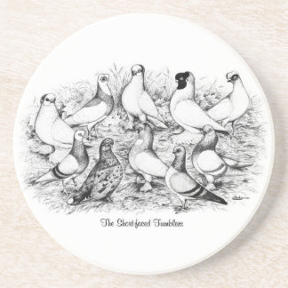 The Short-faced Tumblers Coaster