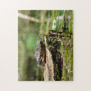 "The Shy Turtle" 252 Piece Jigsaw Puzzle
