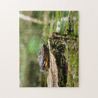 "The Shy Turtle" 252 Piece Jigsaw Puzzle