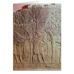 The Siege of Alammu by the army of Sennacherib
