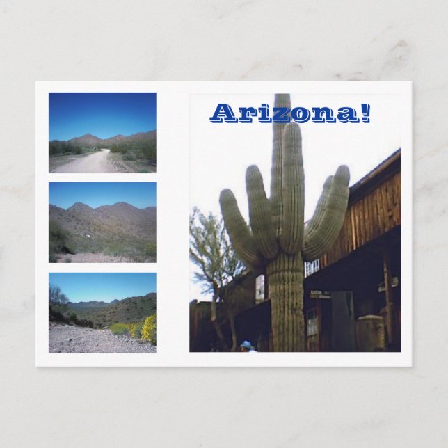 The Sights of Arizona! Postcard (Front)